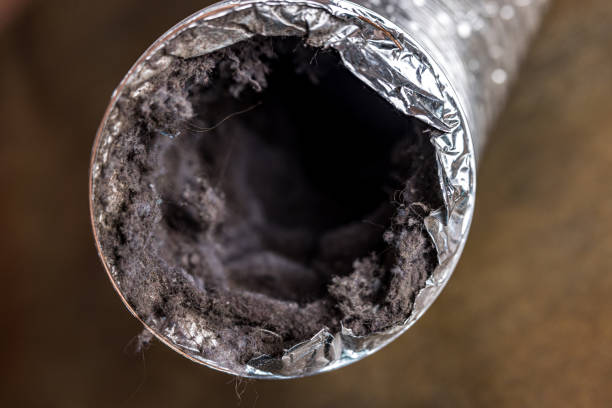 Best Air Duct Cleaning Near Me  in Los Osos, CA