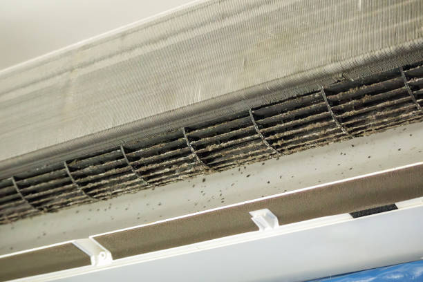 Best Duct Cleaning for Homes  in Los Osos, CA